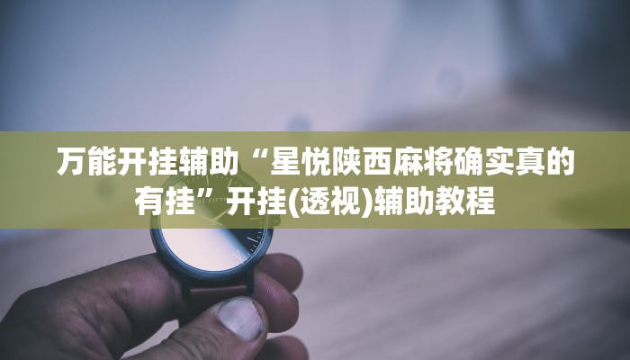 教程辅助“wepoker透视挂机教程”开挂详细教程