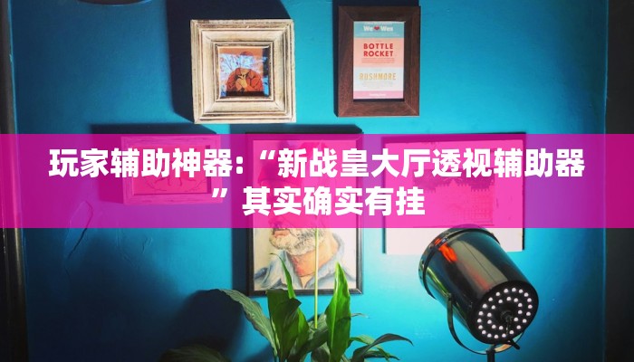 玩家辅助神器:“新战皇大厅透视辅助器”其实确实有挂