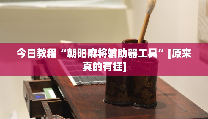 今日教程“朝阳麻将辅助器工具”[原来真的有挂]