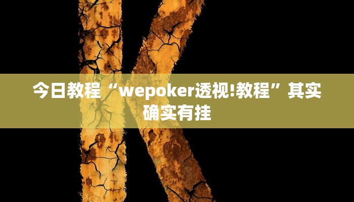 今日教程“wepoker透视!教程”其实确实有挂 今日教程“wepoker透视!教程”其实确实有挂