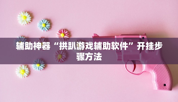 辅助神器“拱趴游戏辅助软件”开挂步骤方法