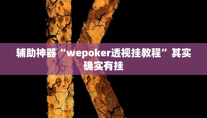 辅助神器“wepoker透视挂教程”其实确实有挂