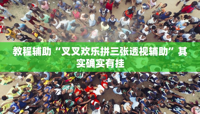 教程辅助“叉叉欢乐拼三张透视辅助”其实确实有挂 教程辅助“叉叉欢乐拼三张透视辅助”其实确实有挂