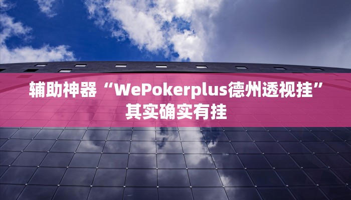 辅助神器“WePokerplus德州透视挂”其实确实有挂