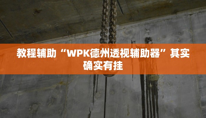 教程辅助“WPK德州透视辅助器”其实确实有挂 教程辅助“WPK德州透视辅助器”其实确实有挂