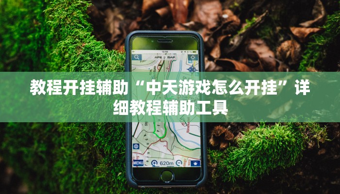 教程开挂辅助“中天游戏怎么开挂”详细教程辅助工具