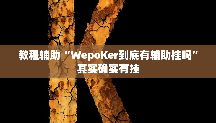 教程辅助“WepoKer到底有辅助挂吗”其实确实有挂 教程辅助“WepoKer到底有辅助挂吗”其实确实有挂