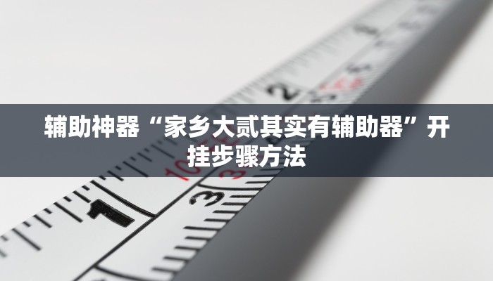 辅助神器“家乡大贰其实有辅助器”开挂步骤方法 辅助神器“家乡大贰其实有辅助器”开挂步骤方法
