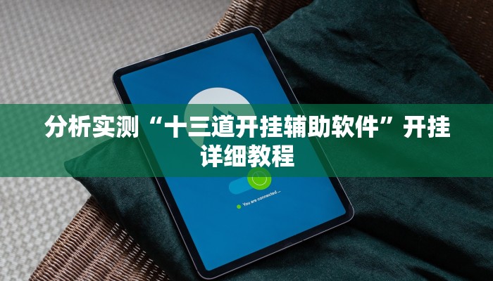 分析实测“十三道开挂辅助软件”开挂详细教程 分析实测“十三道开挂辅助软件”开挂详细教程