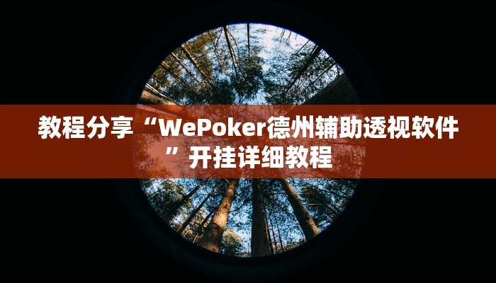 教程分享“WePoker德州辅助透视软件”开挂详细教程 教程分享“WePoker德州辅助透视软件”开挂详细教程