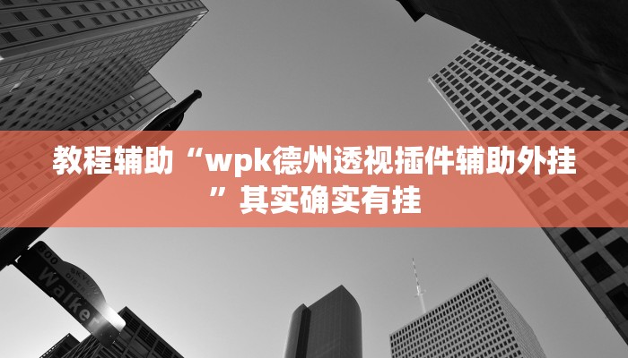 教程辅助“wpk德州透视插件辅助外挂”其实确实有挂
