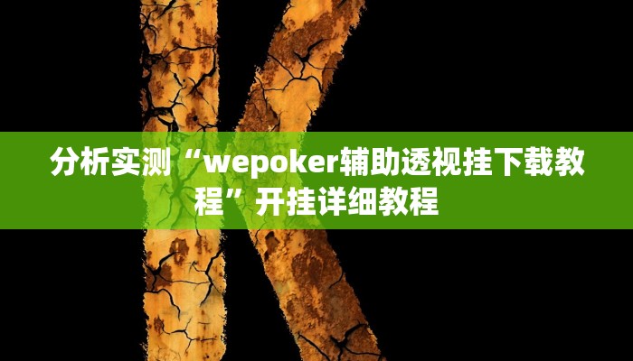 分析实测“wepoker辅助透视挂下载教程”开挂详细教程