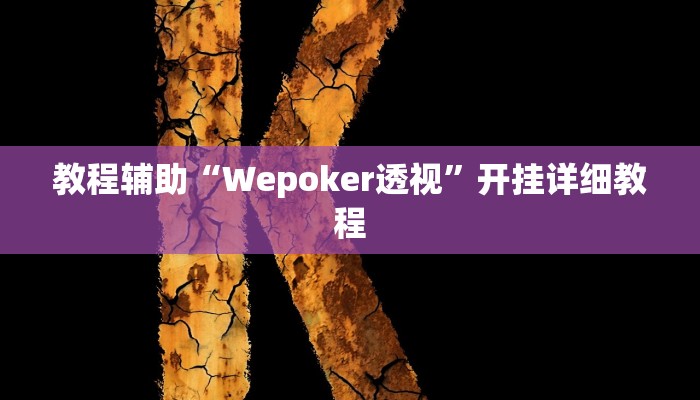 教程辅助“Wepoker透视”开挂详细教程