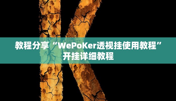 教程分享“WePoKer透视挂使用教程”开挂详细教程