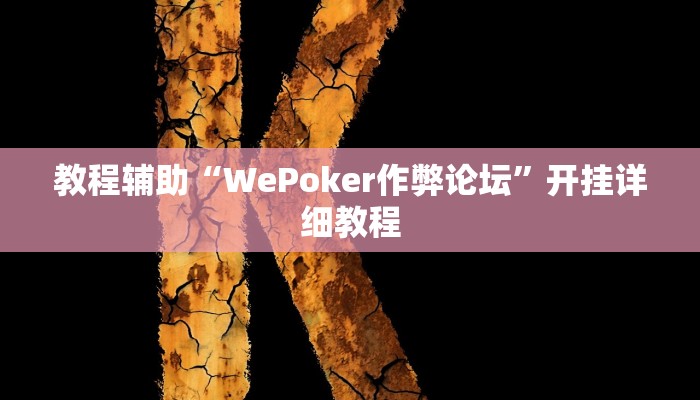 教程辅助“WePoker作弊论坛”开挂详细教程