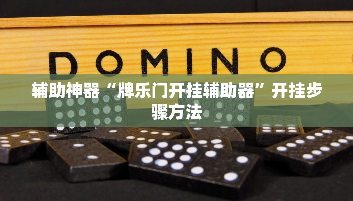 辅助神器“牌乐门开挂辅助器”开挂步骤方法