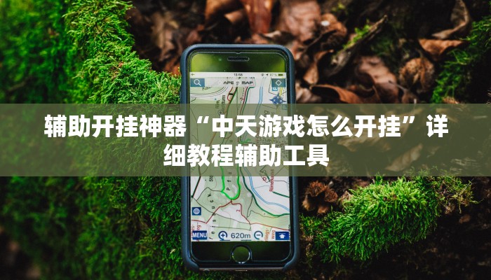 辅助开挂神器“中天游戏怎么开挂”详细教程辅助工具