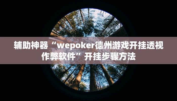 辅助神器“wepoker德州游戏开挂透视作弊软件”开挂步骤方法