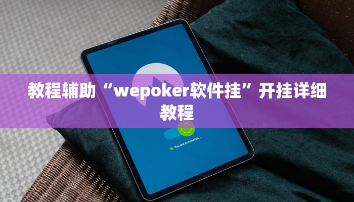教程辅助“wepoker软件挂”开挂详细教程