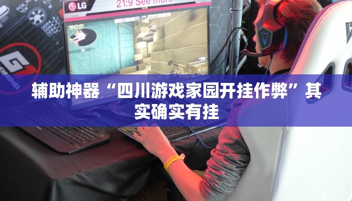 辅助神器“四川游戏家园开挂作弊”其实确实有挂