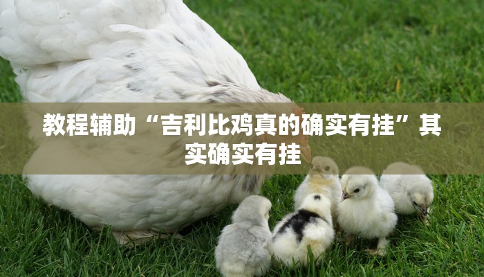 教程辅助“吉利比鸡真的确实有挂”其实确实有挂 教程辅助“吉利比鸡真的确实有挂”其实确实有挂