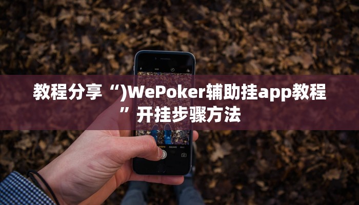教程分享“)WePoker辅助挂app教程”开挂步骤方法 教程分享“)WePoker辅助挂app教程”开挂步骤方法