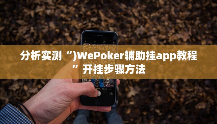 分析实测“)WePoker辅助挂app教程”开挂步骤方法