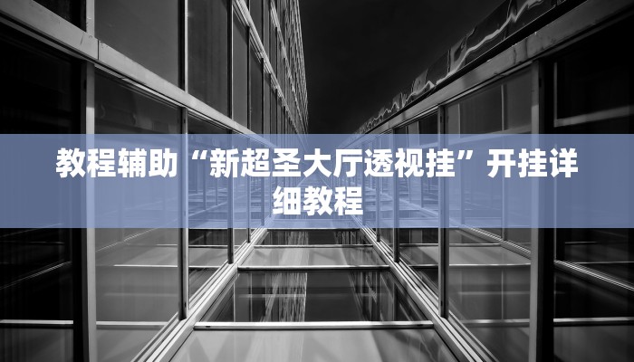教程辅助“新超圣大厅透视挂”开挂详细教程 教程辅助“新超圣大厅透视挂”开挂详细教程